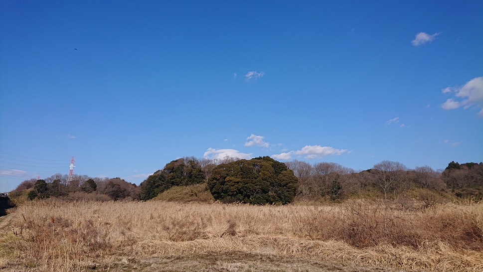 北総花の丘公園