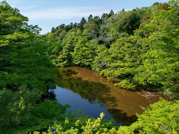 泉自然公園