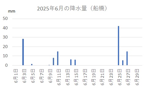 6月の降水量