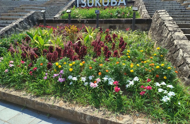 つくば駅の花壇