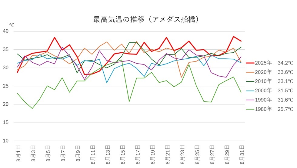 選果