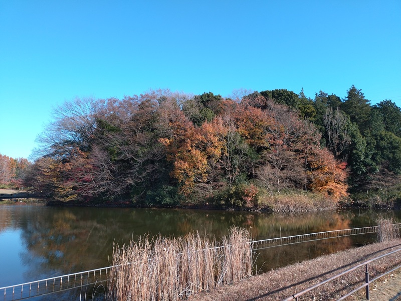 北総花の丘公園